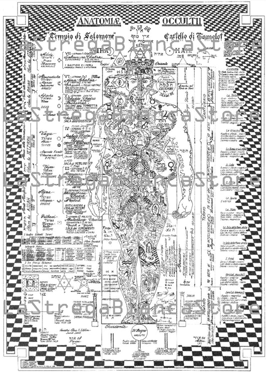 Poster Anatomia Occulta dell'Uomo Italiano